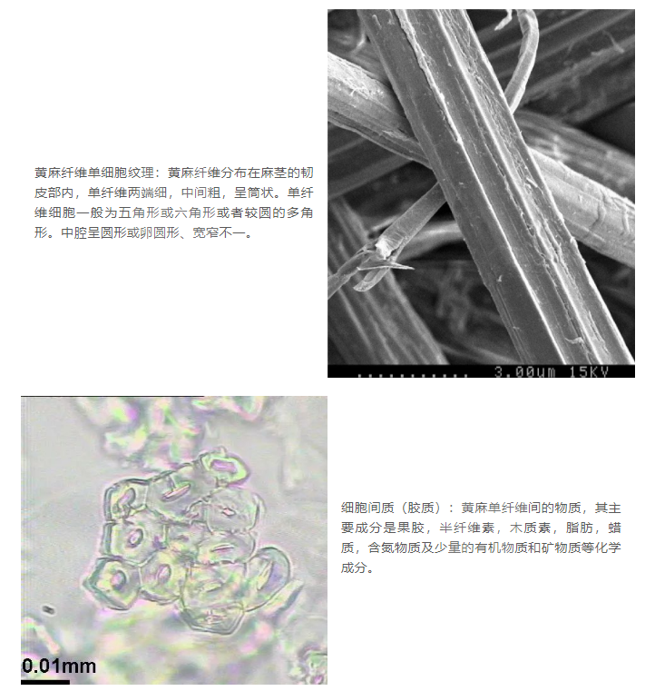 微信截图_20230424154508.png